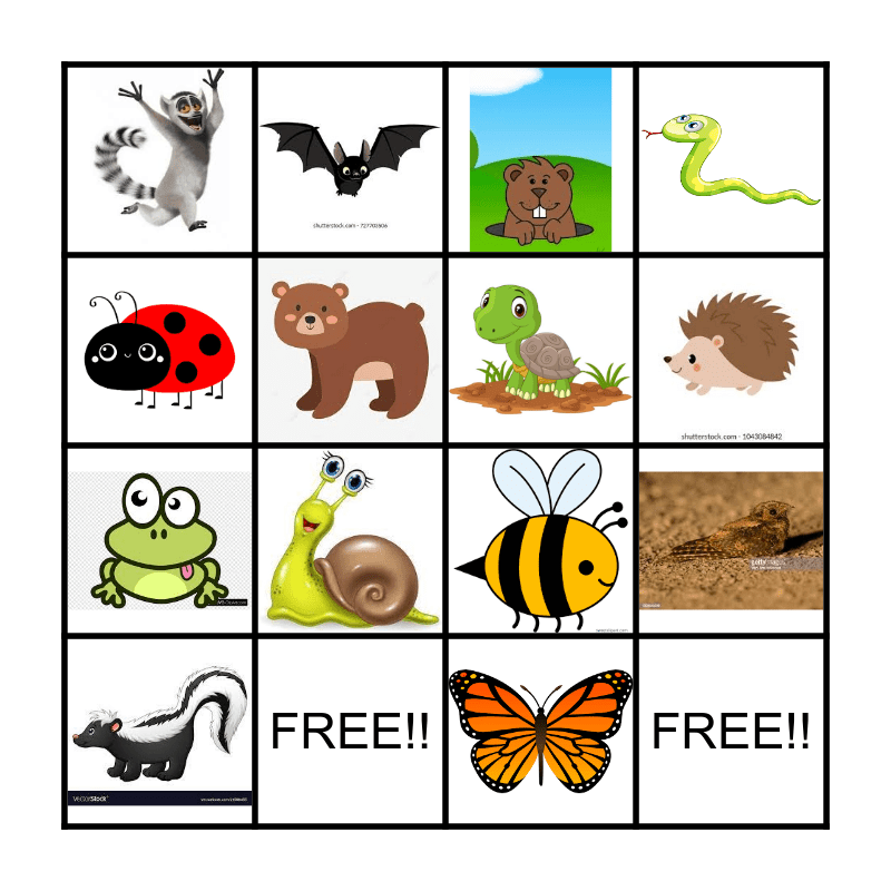 Animals that Hibernate Bingo Card
