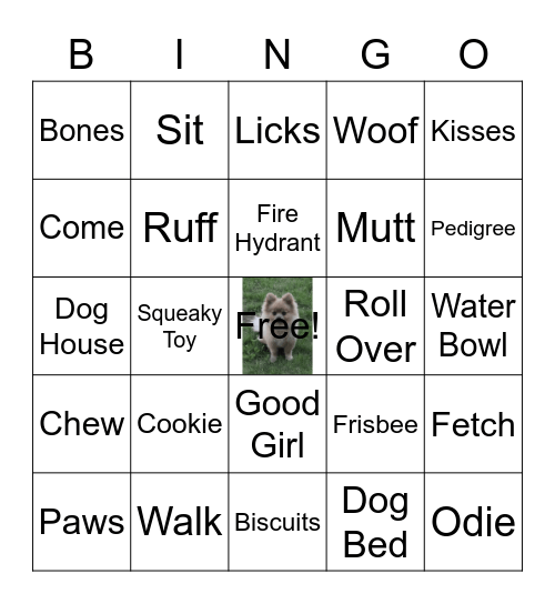 Ivy and Odie's Puppy Bingo Card