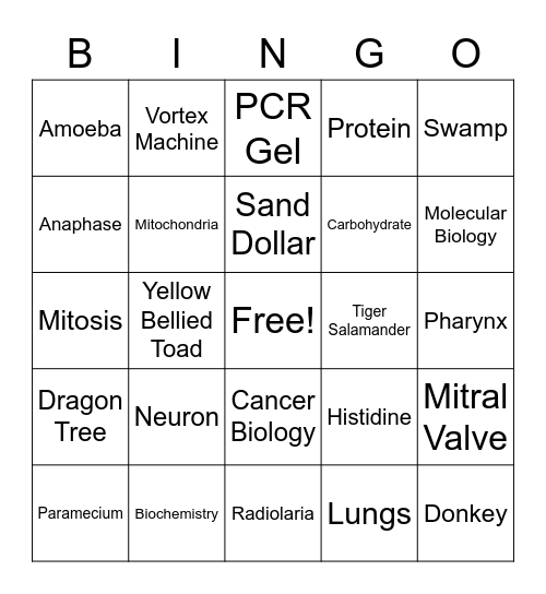 Biology Bingo Card