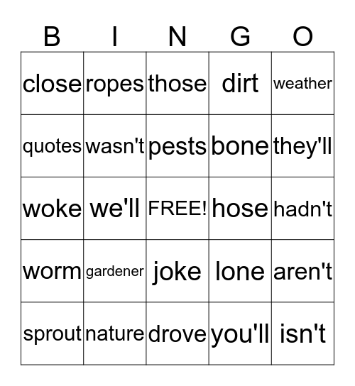 Long o (-ose;s/z/) & contractions n't, 'll, 'm Bingo Card