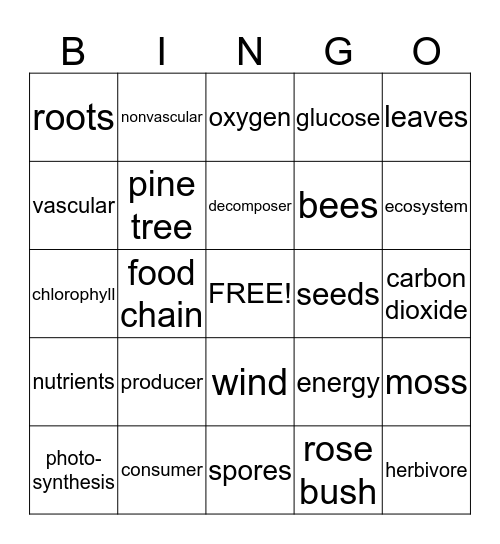 Mrs. Webb's Life Science Bingo Card