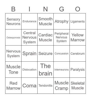 Chapter 11 Bingo Card