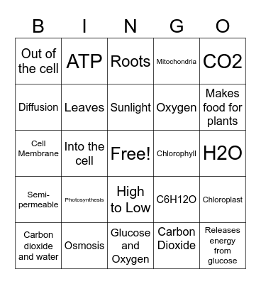 Cell ProcessesSe Bingo Card