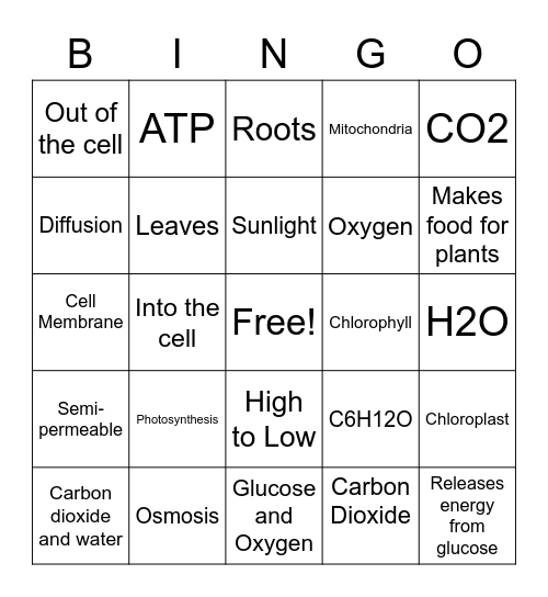 Cell ProcessesSe Bingo Card
