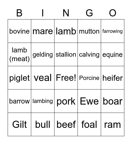 Animal Terms livestock specific Stalvey Bingo Card