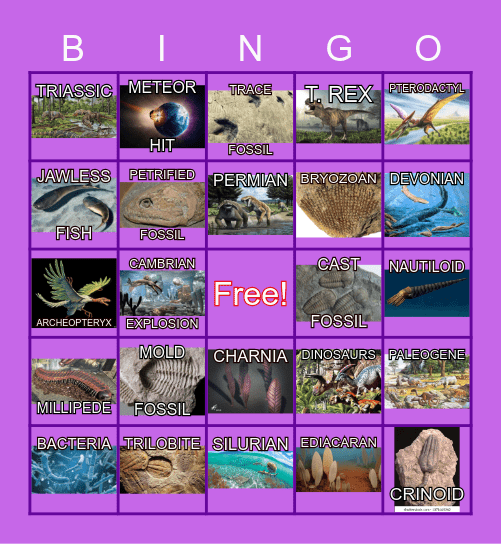 Prehistoric Life on Earth Bingo Card
