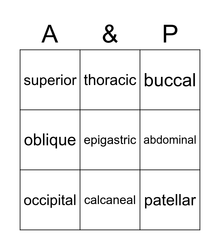 anatomical-terms-bingo-card