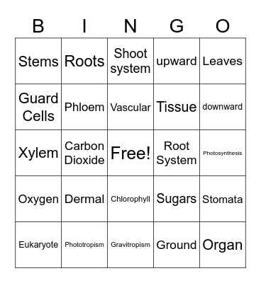 Plant Bodies as Systems Bingo Card