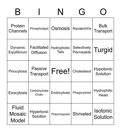 Cell Transport Bingo Card