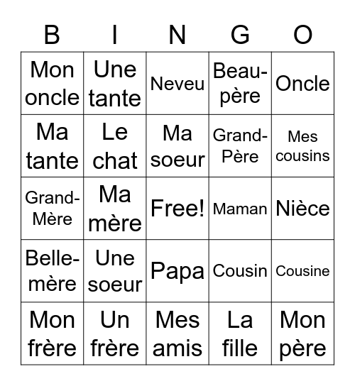 La Famille and Definite and Indefinite Articles Bingo Card