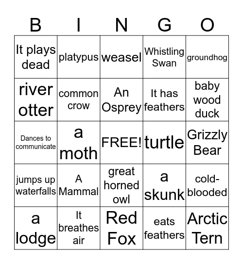 ANIMAL Bingo Card