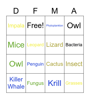 Ecosystem Food Chains Bingo Card