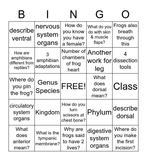 Frog Bingo Card