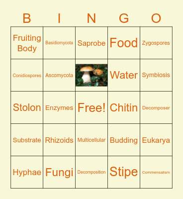 Fungi Vocabulary Bingo Card