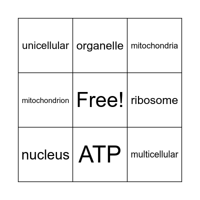 Cell Structure Bingo!! Bingo Card