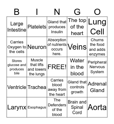 Body System Bingo Card