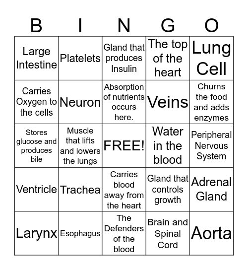 Body System Bingo Card