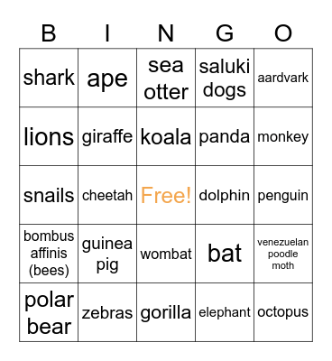 Animal Awareness Club Bingo! Bingo Card