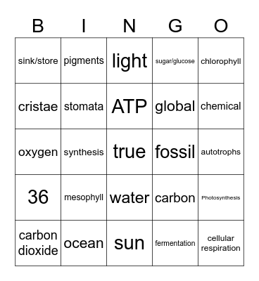 Photosynthesis, CellularRespiration, Fermentation, & CarbonCycle Bingo Card