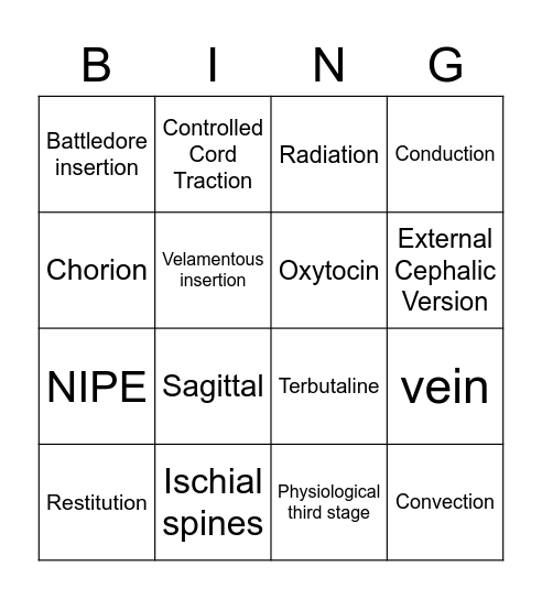 Birth Bingo Card