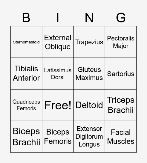 Muscle Bingo Card