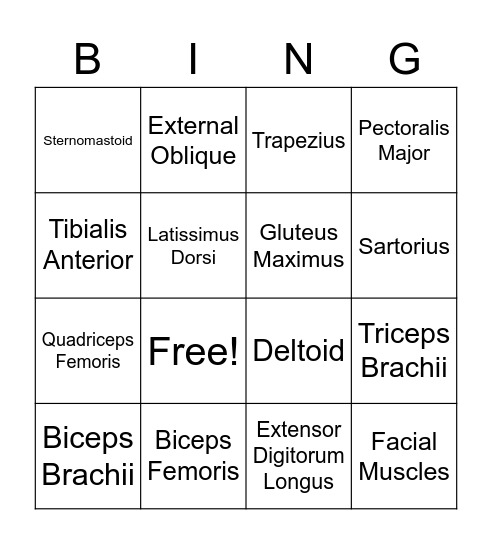 Muscles Bingo Card