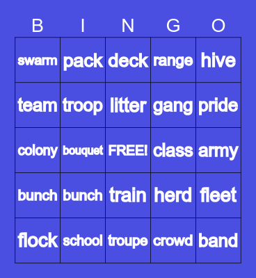 COLLECTIVE NOUNS Bingo Card