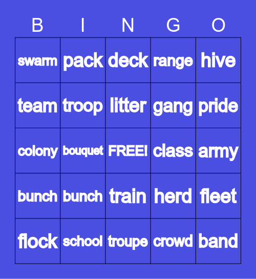 COLLECTIVE NOUNS Bingo Card