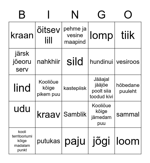 VESI Bingo Card