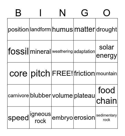 3rd Grade Science Bingo Card