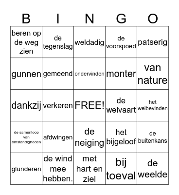 geluk, groep 7 Bingo Card