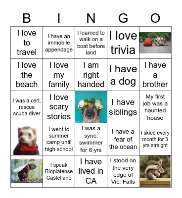 Get to Know the DSTI have a Bingo Card