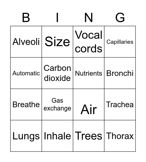 Respiratory system Bingo Card