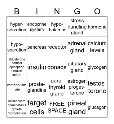 Endocrine System Bingo Card