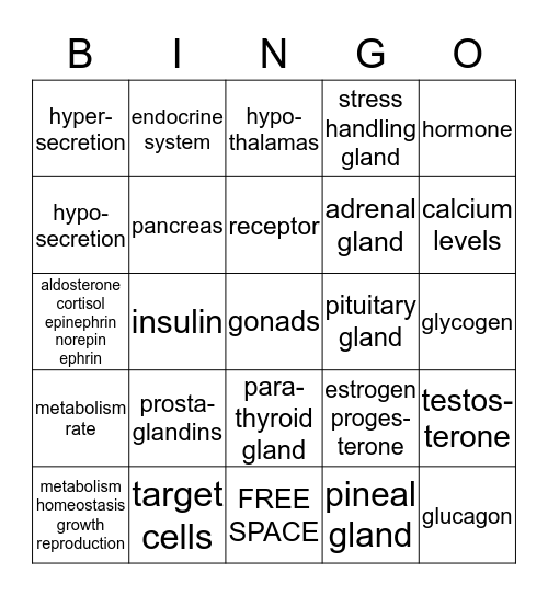 Endocrine System Bingo Card