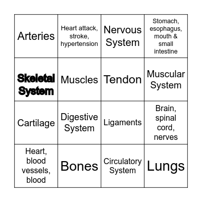 Body System's Bingo Card