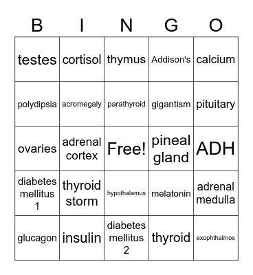 Endocrine Bingo Card