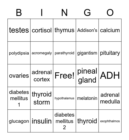 Endocrine Bingo Card