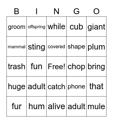 2.4 BINGO Card