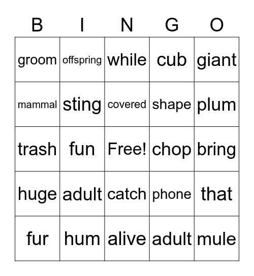 2.4 BINGO Card