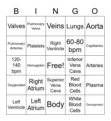 Circulatory System Bingo Card