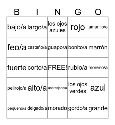 Appearance and colors Bingo Card