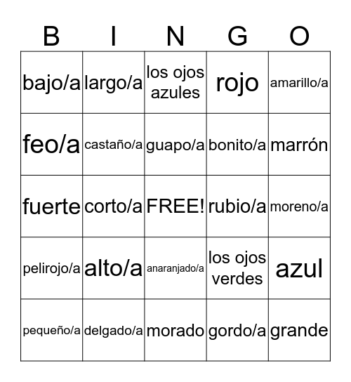 Appearance and colors Bingo Card