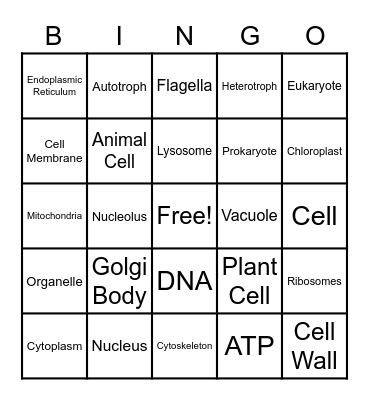 Cell Theory and Parts Bingo Card