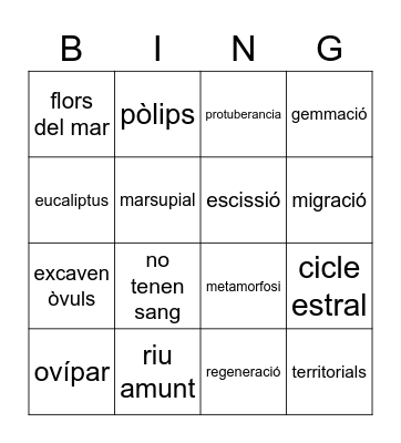 Reproduccio sexual i asexual Bingo Card