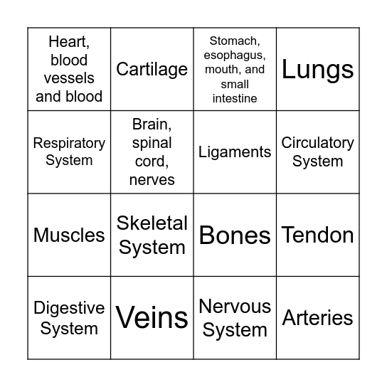 Body System's Bingo Card