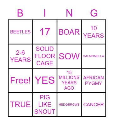 HEDGEHOG BINGO Card