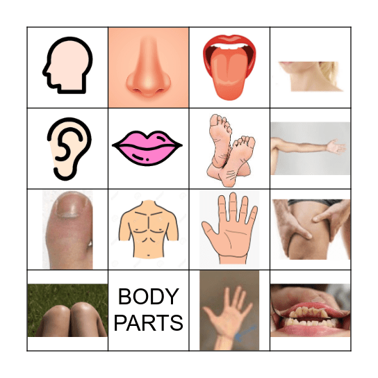 Body parts Bingo Card