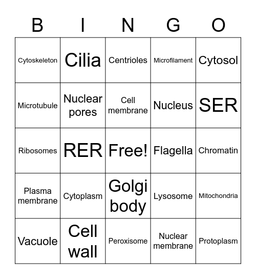Cell organelle Bingo Card