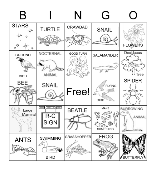 R-C Wildlife Bingo Card